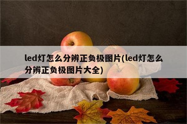 led灯怎么分辨正负极图片(led灯怎么分辨正负极图片大全)