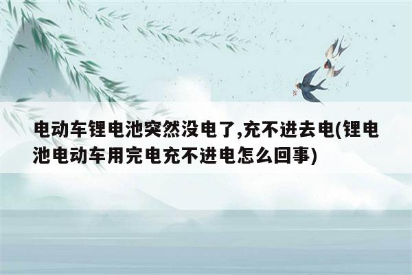 电动车锂电池突然没电了,充不进去电(锂电池电动车用完电充不进电怎么回事)