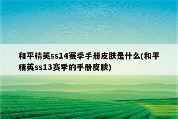 和平精英ss14赛季手册皮肤是什么(和平精英ss13赛季的手册皮肤)