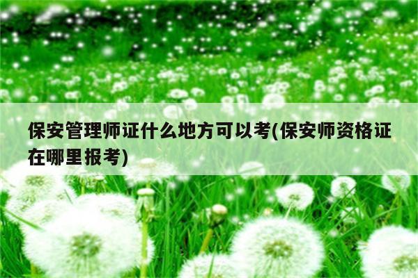 保安管理师证什么地方可以考(保安师资格证在哪里报考)