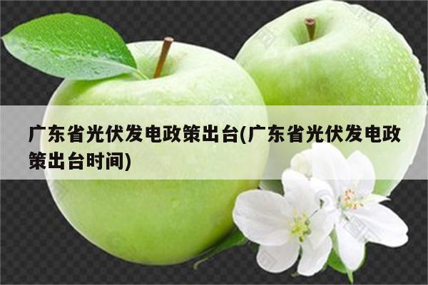 广东省光伏发电政策出台(广东省光伏发电政策出台时间)