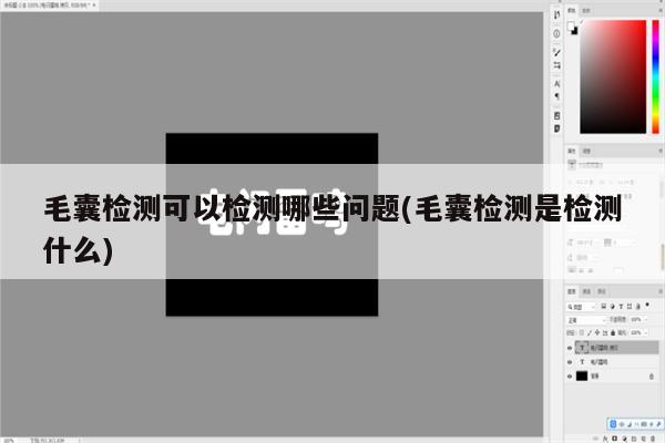 毛囊检测可以检测哪些问题(毛囊检测是检测什么)