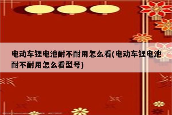 电动车锂电池耐不耐用怎么看(电动车锂电池耐不耐用怎么看型号)