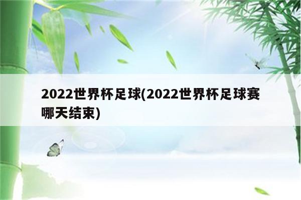 2022世界杯足球(2022世界杯足球赛哪天结束)