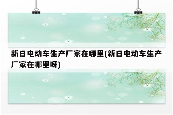 新日电动车生产厂家在哪里(新日电动车生产厂家在哪里呀)