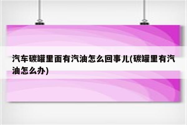 汽车碳罐里面有汽油怎么回事儿(碳罐里有汽油怎么办)