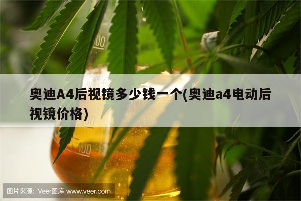 奥迪A4后视镜多少钱一个(奥迪a4电动后视镜价格)