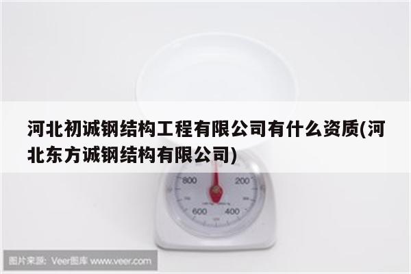 河北初诚钢结构工程有限公司有什么资质(河北东方诚钢结构有限公司)