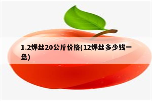 1.2焊丝20公斤价格(12焊丝多少钱一盘)