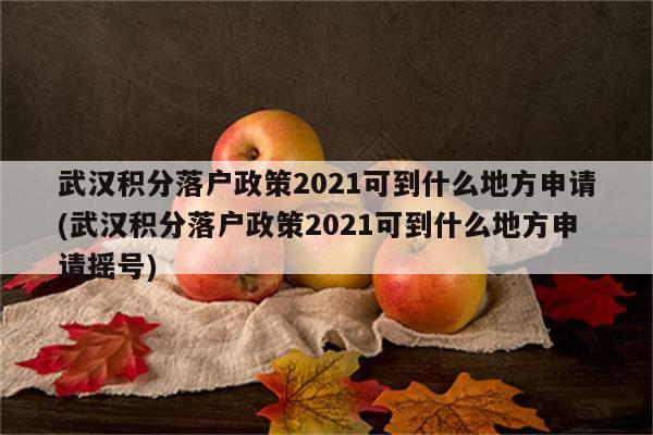 武汉积分落户政策2021可到什么地方申请(武汉积分落户政策2021可到什么地方申请摇号)