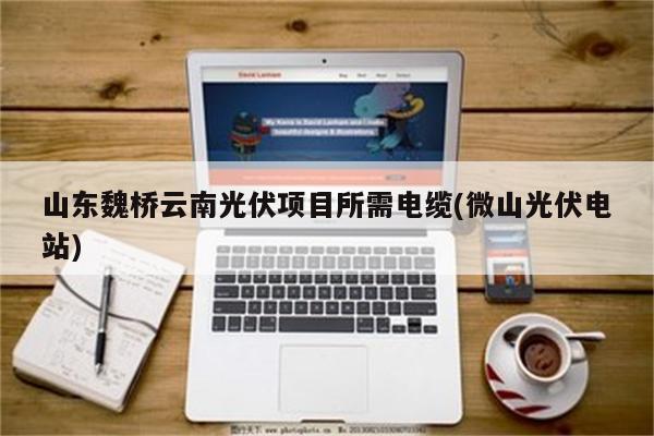 山东魏桥云南光伏项目所需电缆(微山光伏电站)