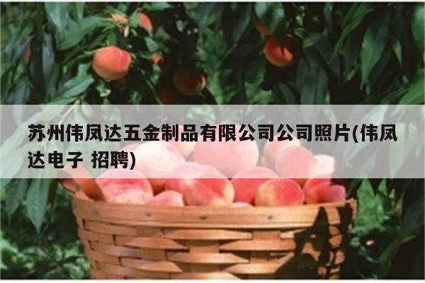 苏州伟凤达五金制品有限公司公司照片(伟凤达电子 招聘)