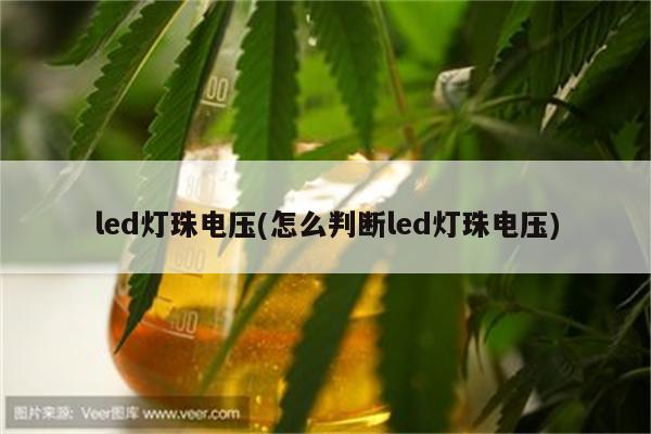 led灯珠电压(怎么判断led灯珠电压)