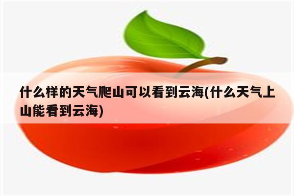 什么样的天气爬山可以看到云海(什么天气上山能看到云海)