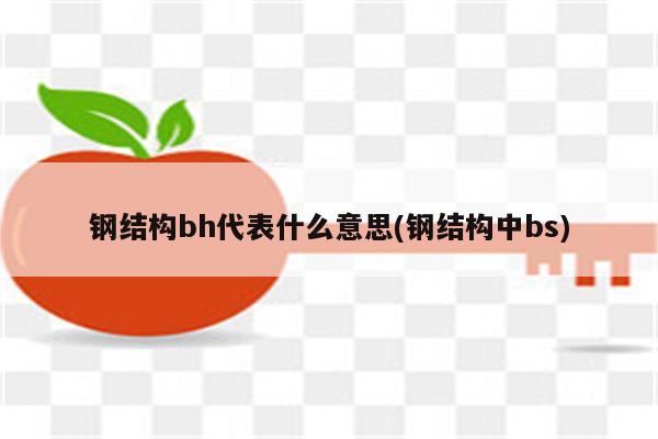 钢结构bh代表什么意思(钢结构中bs)