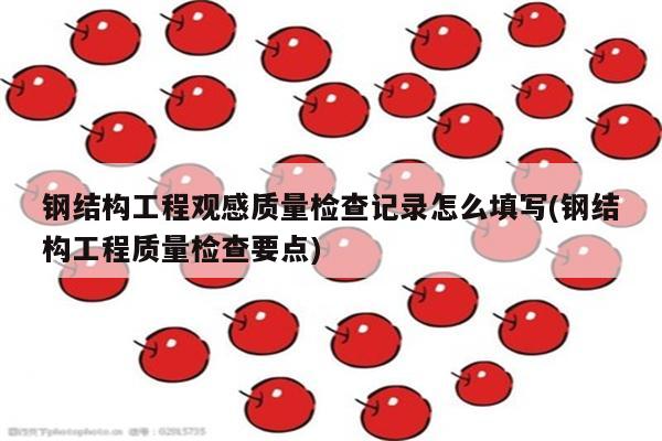 钢结构工程观感质量检查记录怎么填写(钢结构工程质量检查要点)