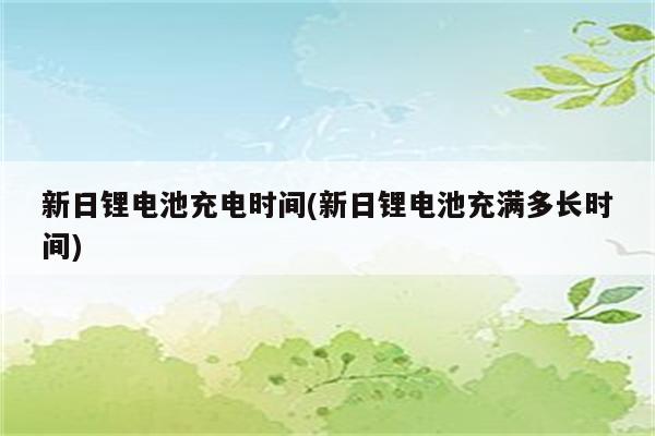 新日锂电池充电时间(新日锂电池充满多长时间)