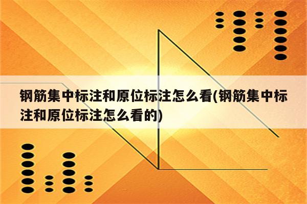 钢筋集中标注和原位标注怎么看(钢筋集中标注和原位标注怎么看的)