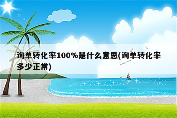 询单转化率100%是什么意思(询单转化率多少正常)