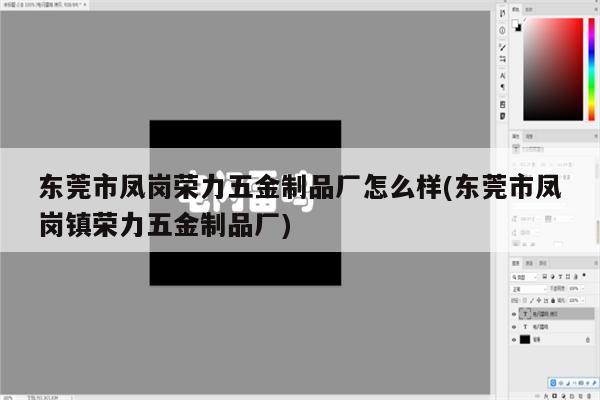 东莞市凤岗荣力五金制品厂怎么样(东莞市凤岗镇荣力五金制品厂)