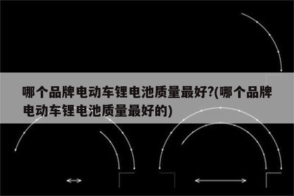 哪个品牌电动车锂电池质量最好?(哪个品牌电动车锂电池质量最好的)