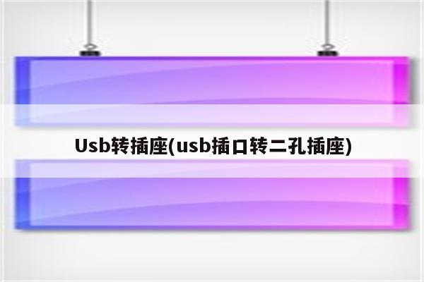 Usb转插座(usb插口转二孔插座)