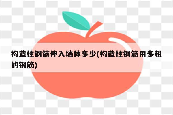 构造柱钢筋伸入墙体多少(构造柱钢筋用多粗的钢筋)