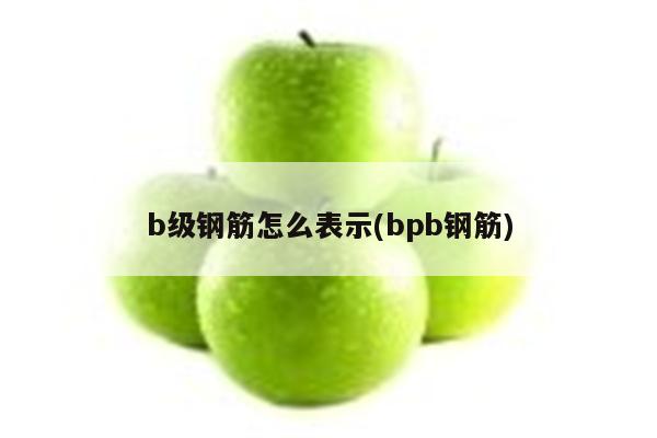 b级钢筋怎么表示(bpb钢筋)