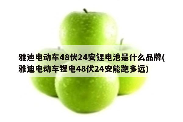 雅迪电动车48伏24安锂电池是什么品牌(雅迪电动车锂电48伏24安能跑多远)