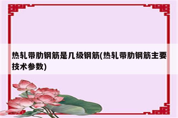 热轧带肋钢筋是几级钢筋(热轧带肋钢筋主要技术参数)