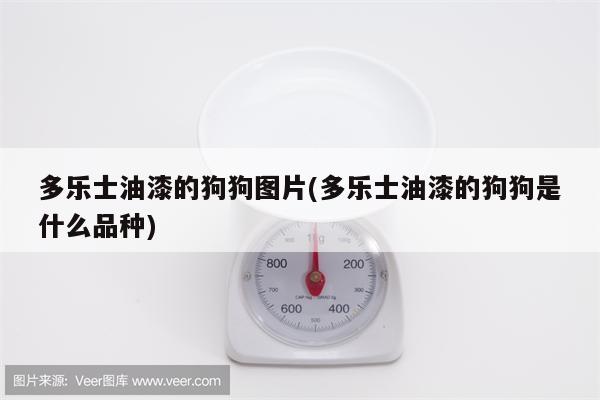 多乐士油漆的狗狗图片(多乐士油漆的狗狗是什么品种)