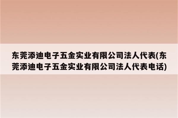 东莞添迪电子五金实业有限公司法人代表(东莞添迪电子五金实业有限公司法人代表电话)