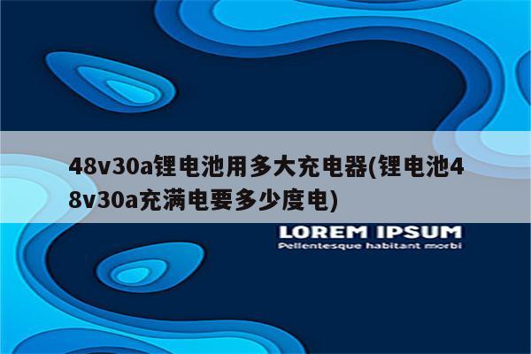 48v30a锂电池用多大充电器(锂电池48v30a充满电要多少度电)