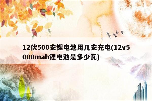 12伏500安锂电池用几安充电(12v5000mah锂电池是多少瓦)