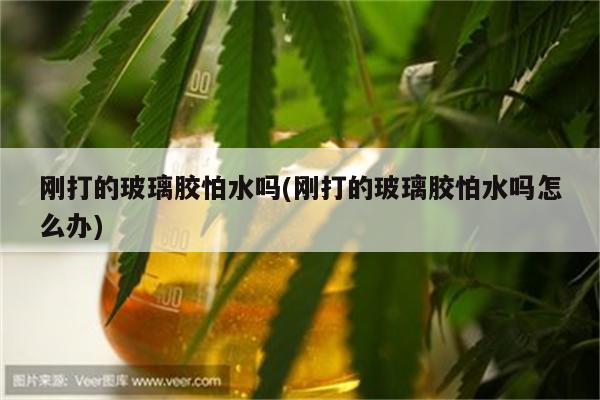 刚打的玻璃胶怕水吗(刚打的玻璃胶怕水吗怎么办)